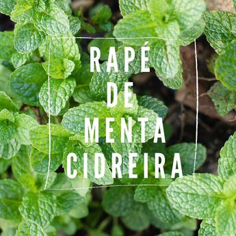 Menta Cidreira Rapeh Rapé Menta Cidreira