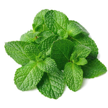 Menta Rapeh Rapé Menta