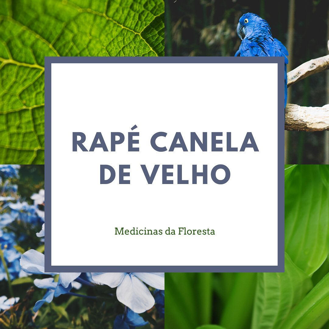 Rapé Canela de Velho Rapeh Rapé Canela de Velho
