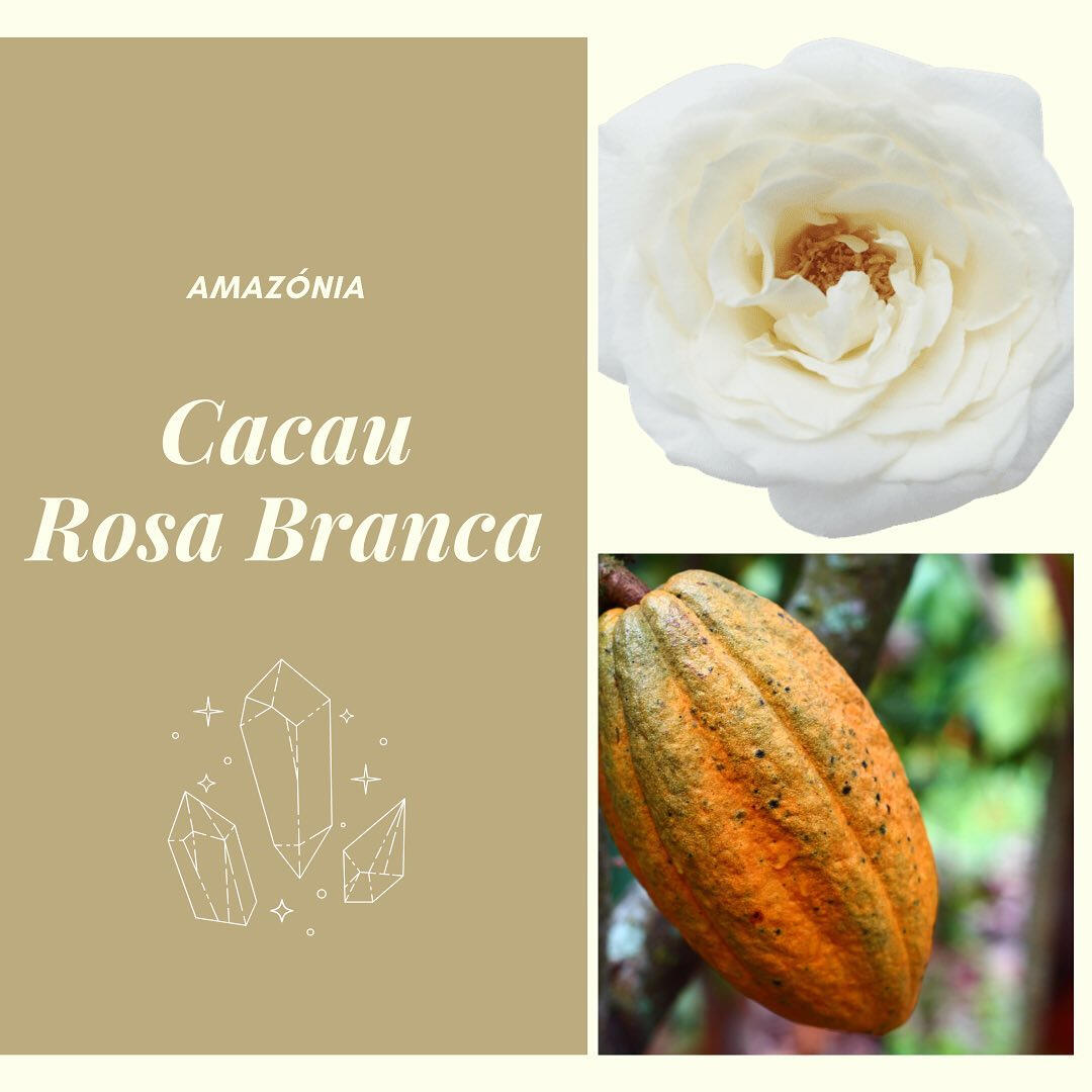Rapé Cacau Rosa Branca Rapeh Rapé Cacau Rosa Branca